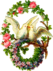 dovessmall.GIF (25578 bytes)